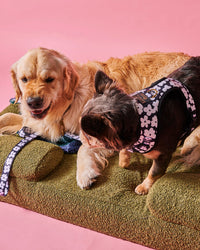 Thumbnail for Flower Face Dog Harness Medium
