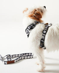 Thumbnail for Flower Face Dog Harness Medium