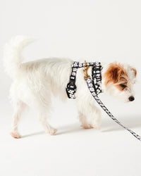 Thumbnail for Flower Face Dog Harness Medium