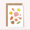 Seashells Greeting Card - Illustrated Shells Card