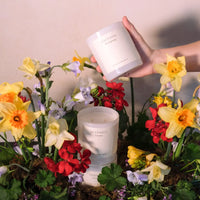 Thumbnail for Daffodil - New Beginnings - 400g