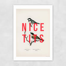 Nice Tits Greetings Card