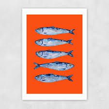Sardines By Alice Straker Greetings Card