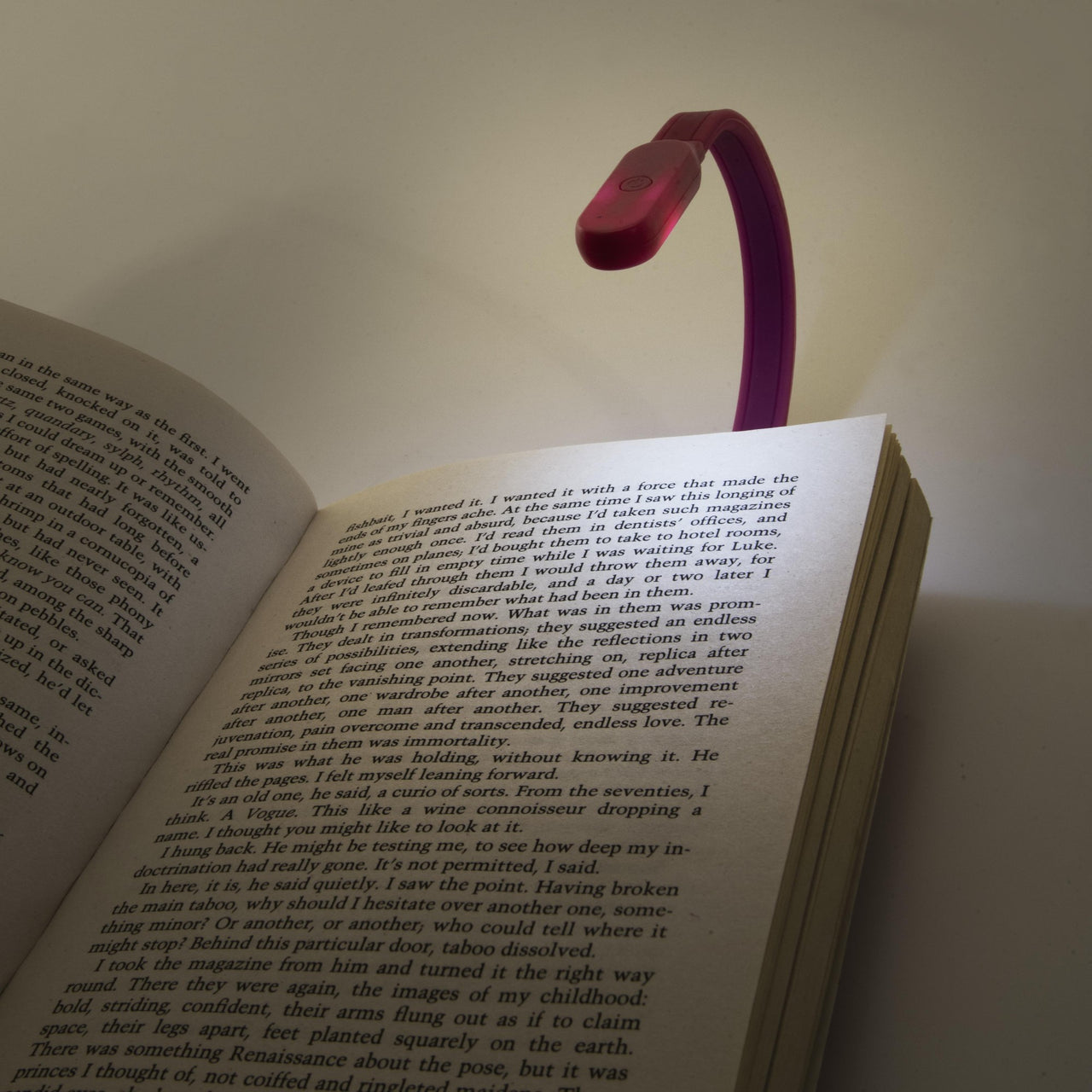 Flexi Clip On Rechargeable Book 