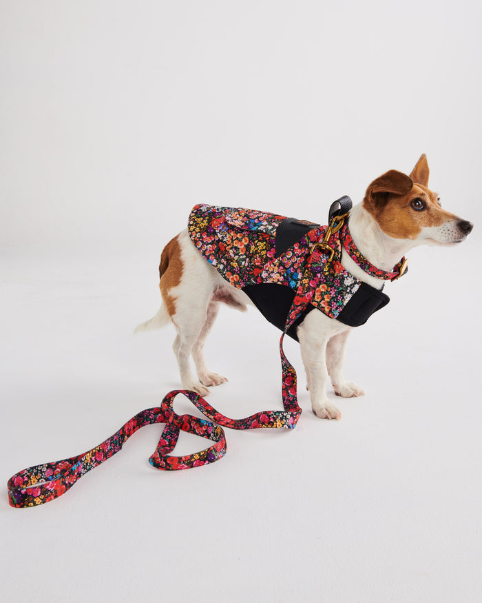 Forever Floral Black Dog Lead Small