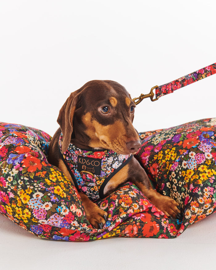 Forever Floral Black Dog Harness X-small