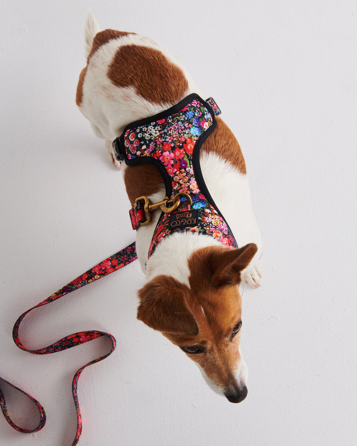 Forever Floral Black Dog Harness Large