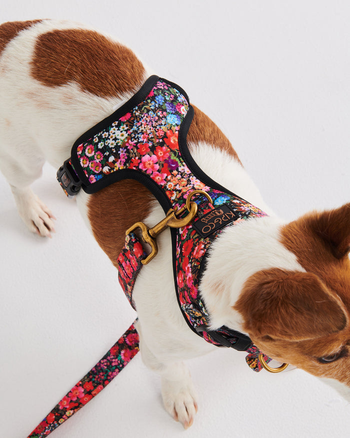 Forever Floral Black Dog Harness Large