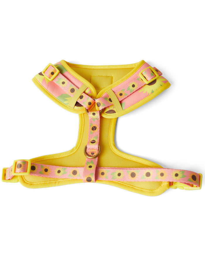 Sunflower Sunshine Dog Harness Small