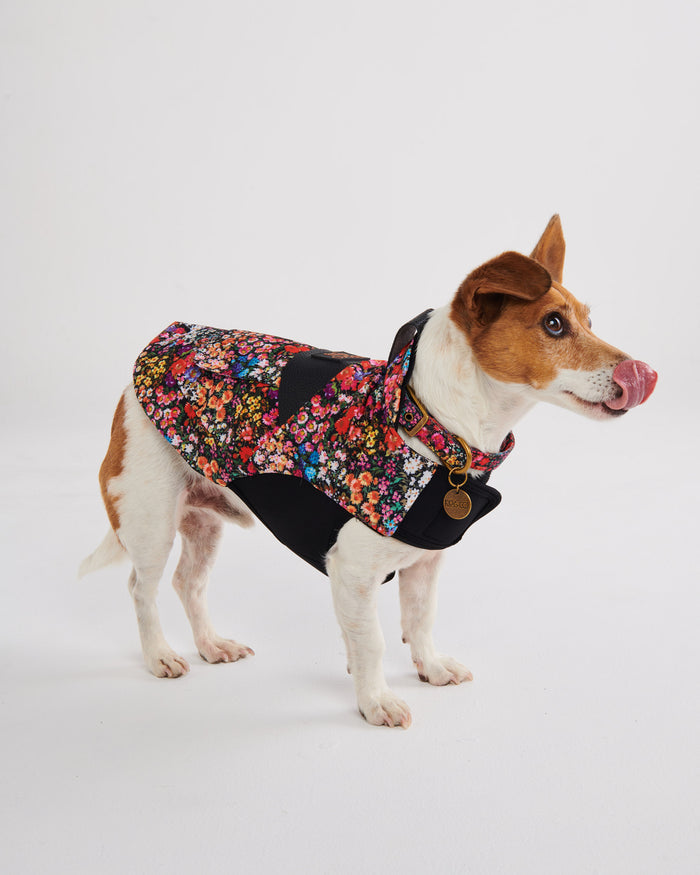 Forever Floral Black Dog Jacket Small