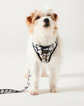Flower Face Dog Harness Medium