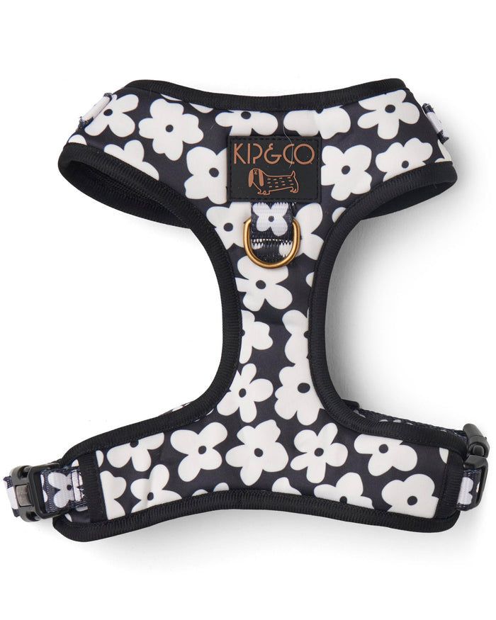 Flower Face Dog Harness Medium