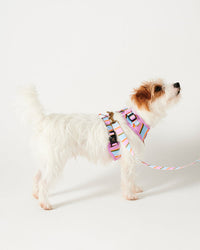 Thumbnail for Fez Stripe Dog Harness X-  Small