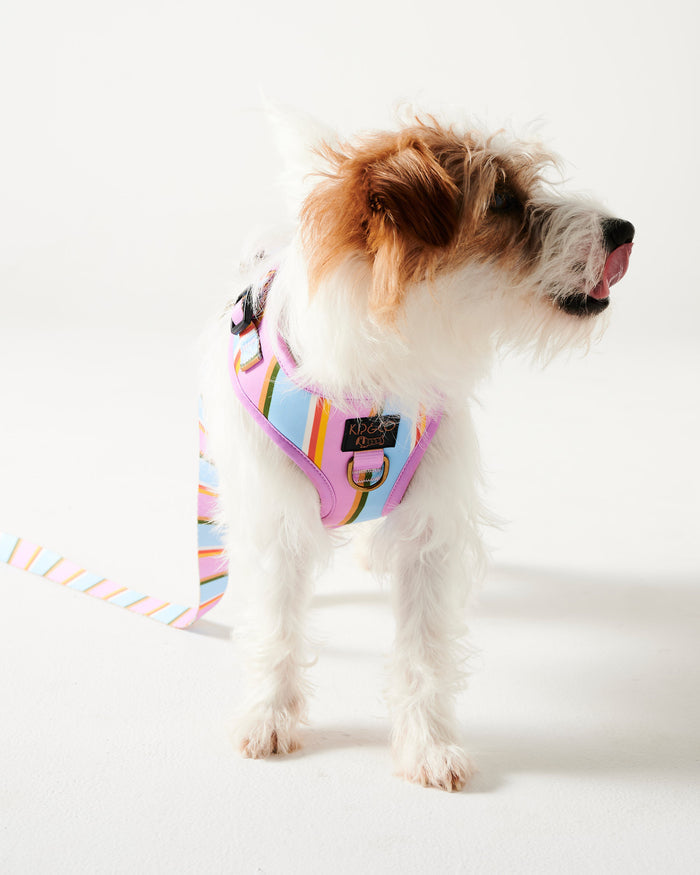 Fez Stripe Dog Harness X-  Small