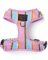 Thumbnail for Fez Stripe Dog Harness X-  Small