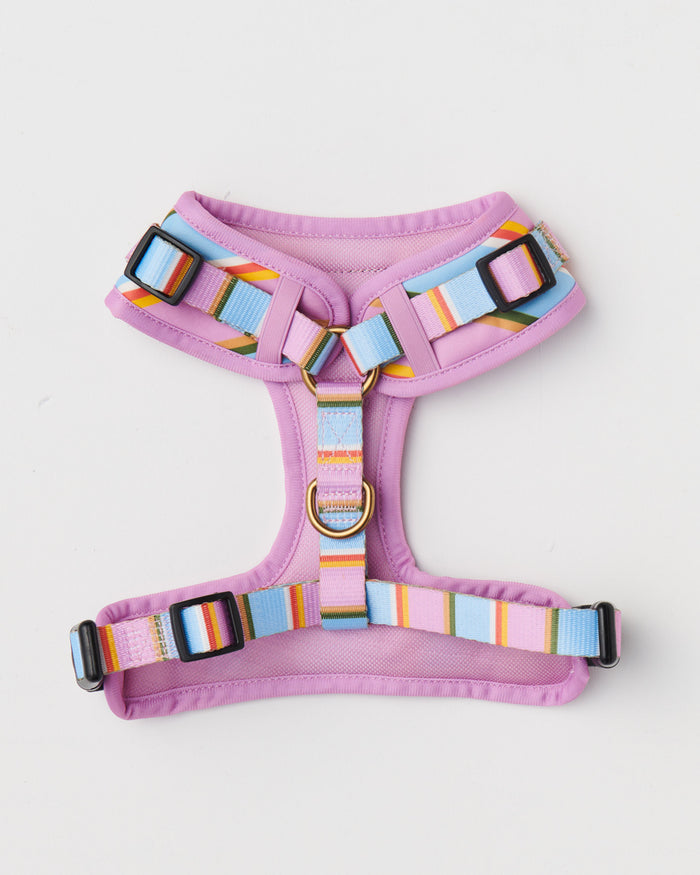 Fez Stripe Dog Harness Medium