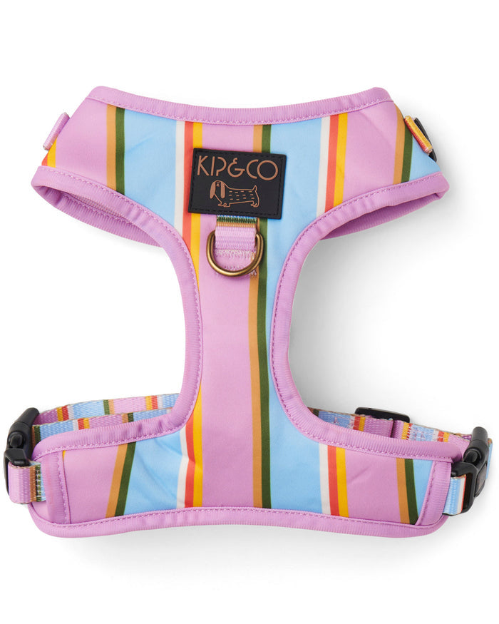 Fez Stripe Dog Harness Medium