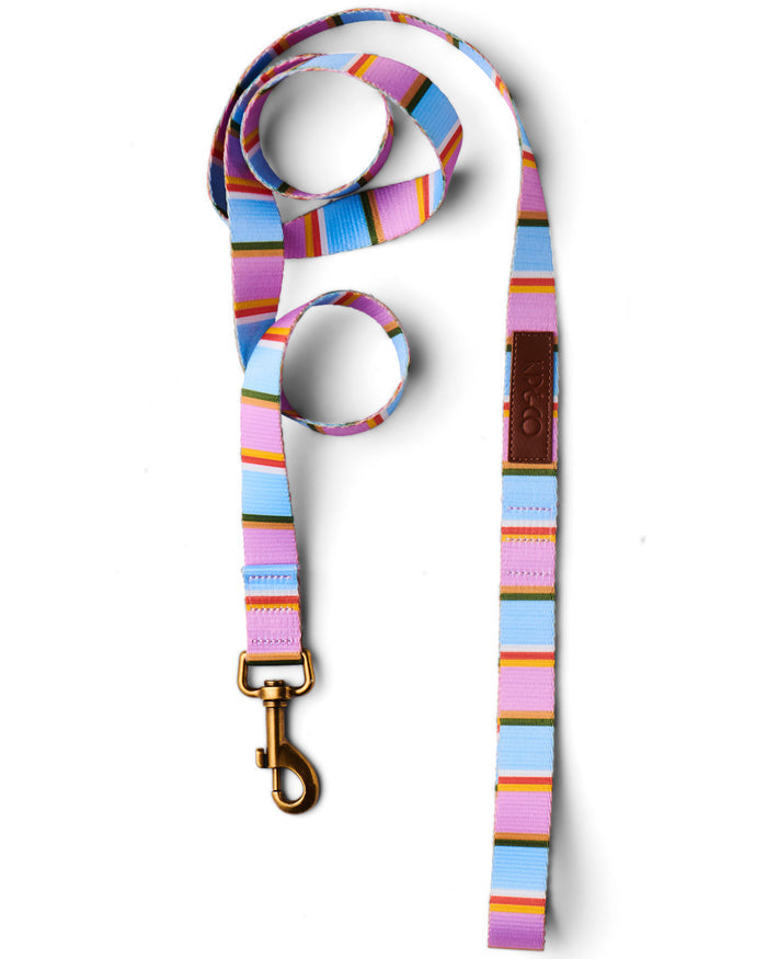 Fez Stripe Dog Lead Small