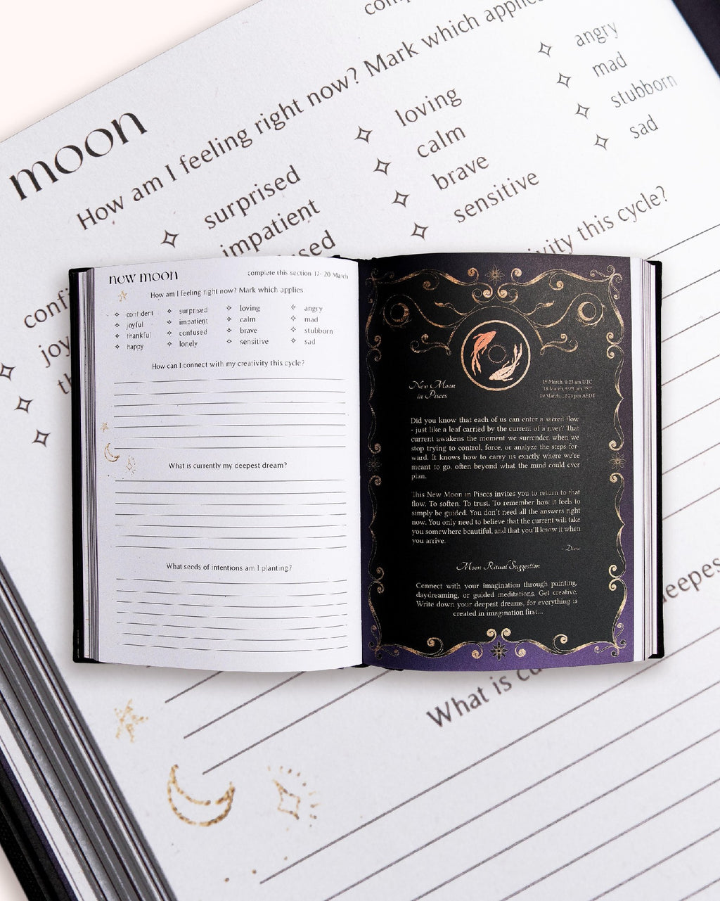 2026 Year Of Growth Book - Vintage Rose