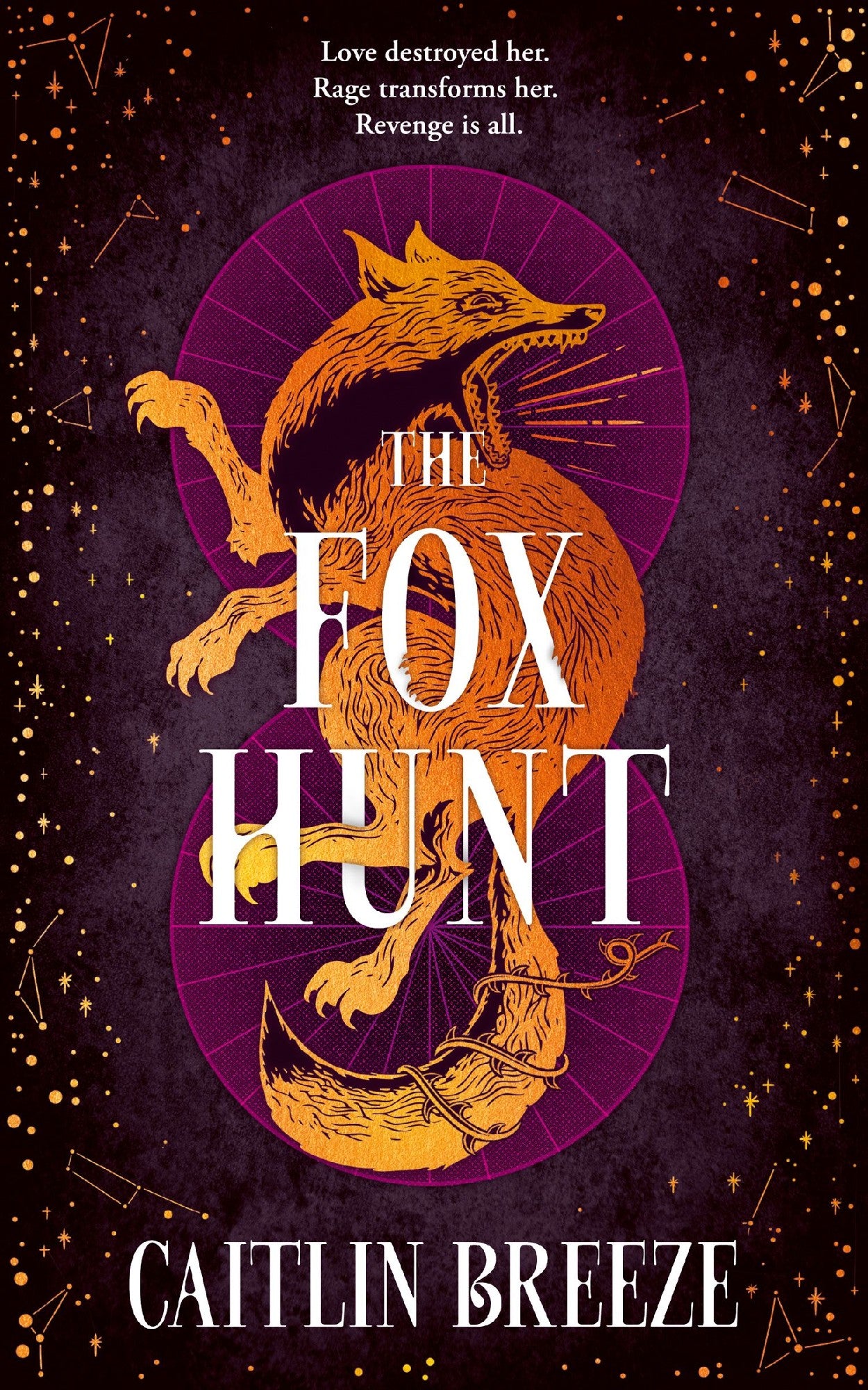 The Fox Hunt: A Magical Dark Academia Ya Revenge Fantasy Perfect For Fans Of V. E. Schwab And Leigh Bardugo