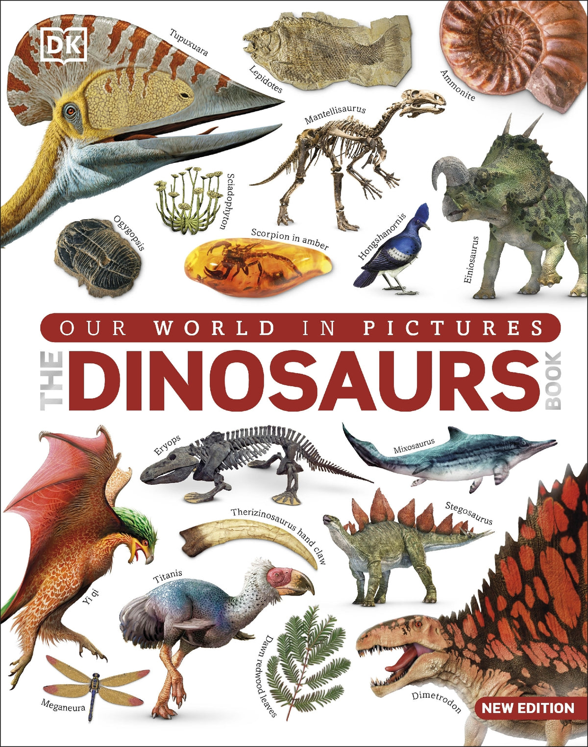 Dinosaurs Book