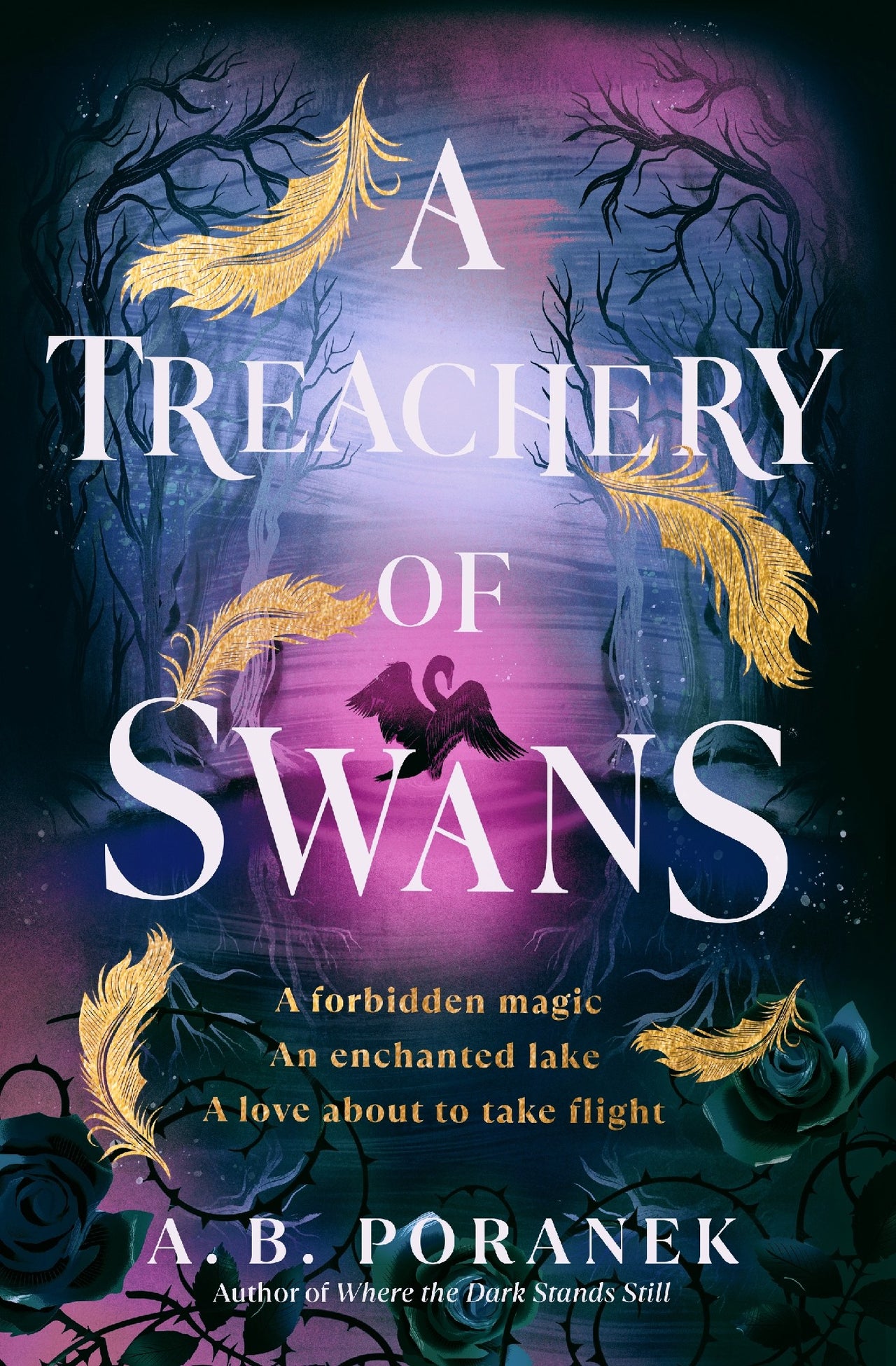 A Treachery Of Swans