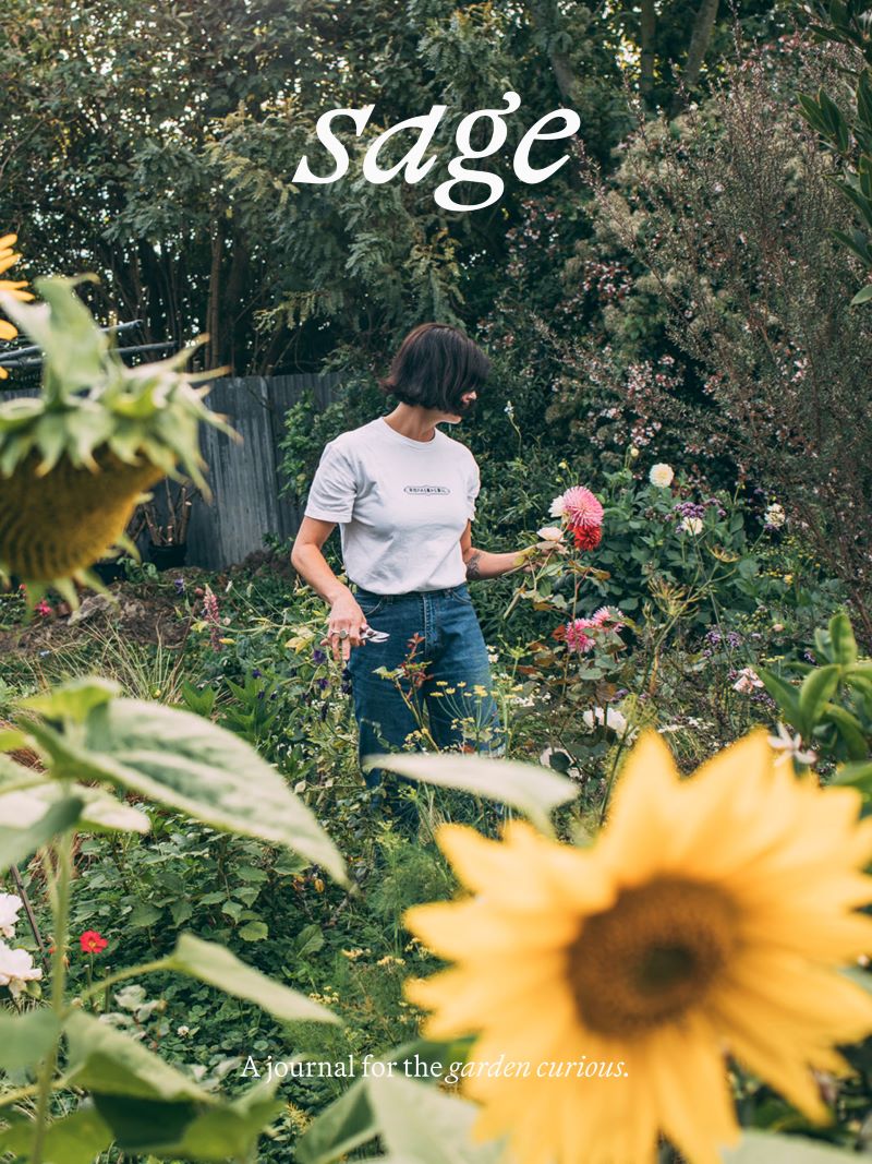 Sage: A Journal For The Garden Curious