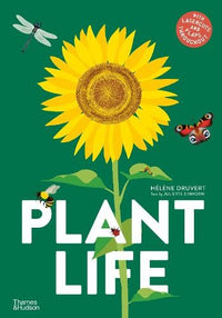 Thumbnail for Plant Life