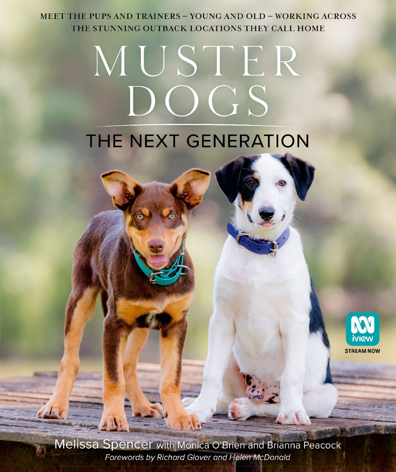 Muster Dogs