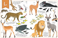 Thumbnail for The Ultimate Animal Alphabet Book