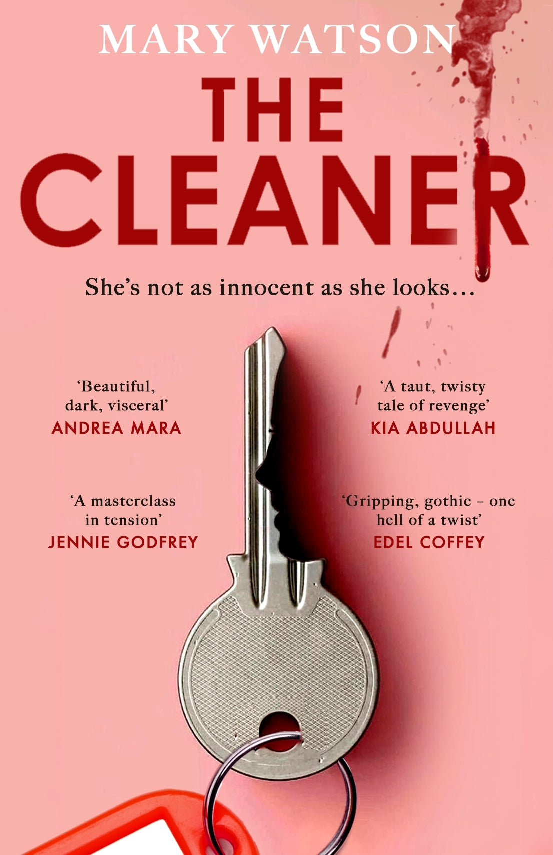 The Cleaner