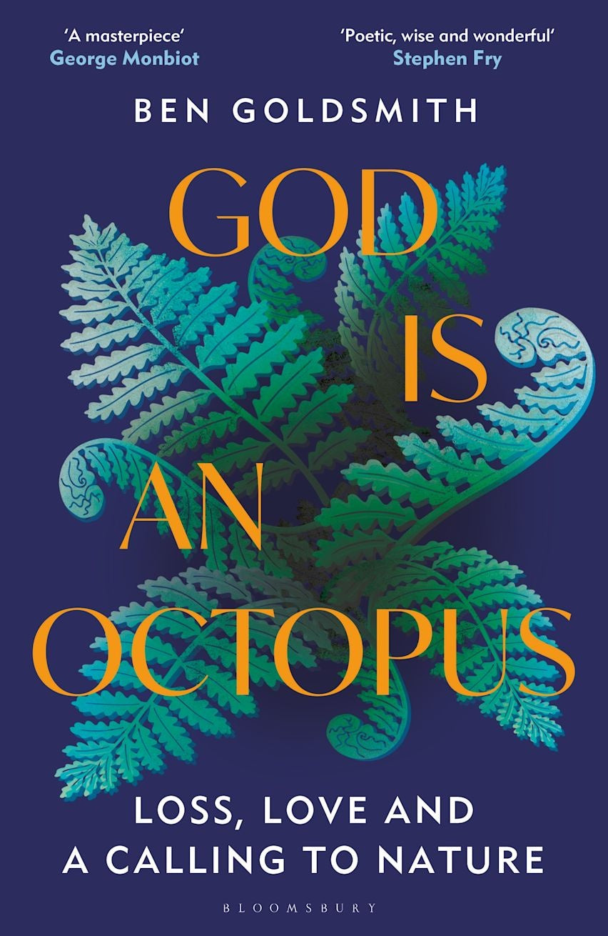 God Is An Octopus: Loss, Love And A Calling To Nature