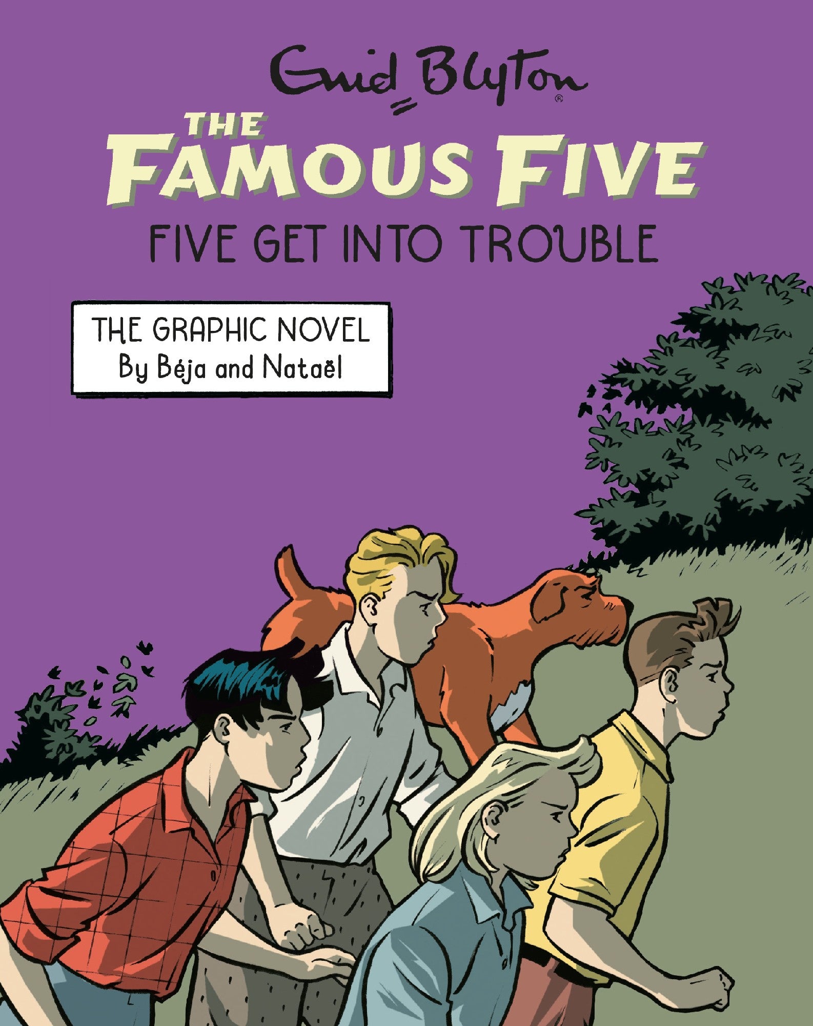 Ff Graphic Novel 05 Five Get Into T