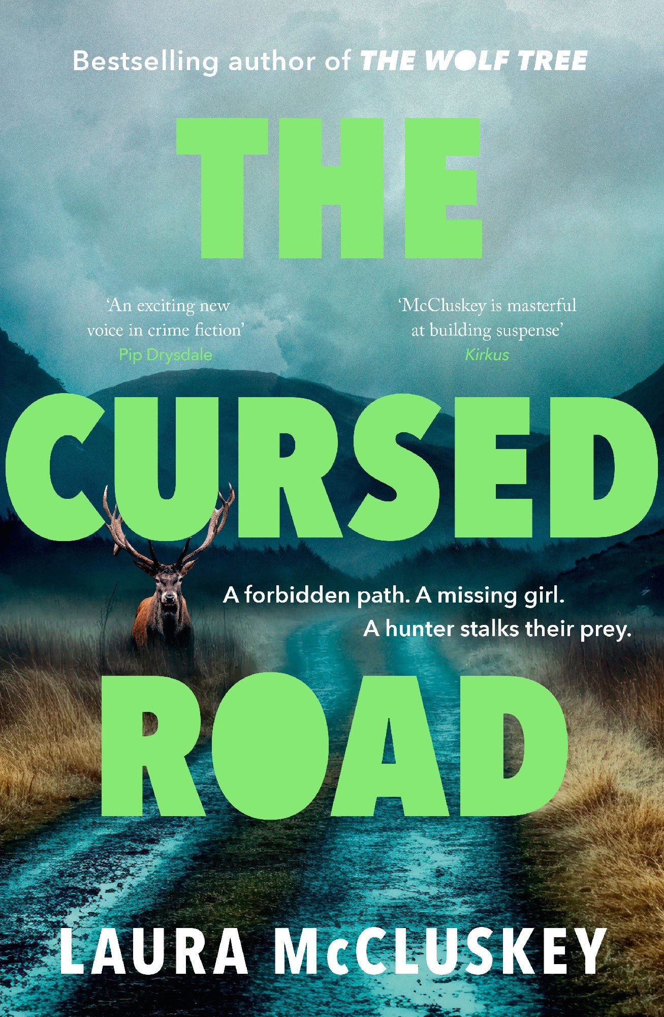 The Cursed Road: A New Gripping Scottish Crime Thriller From The Bestselling Author Of The Wolf Tree