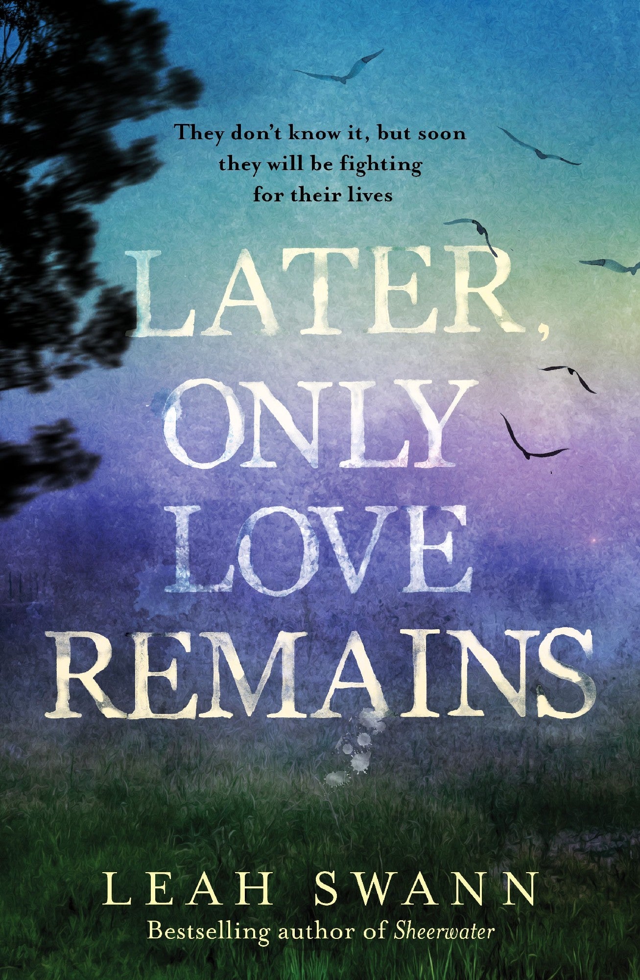 Later, Only Love Remains: A Darkly Beautiful Suspense Novel From The Award-winning Bestselling Author Of Sheerwater