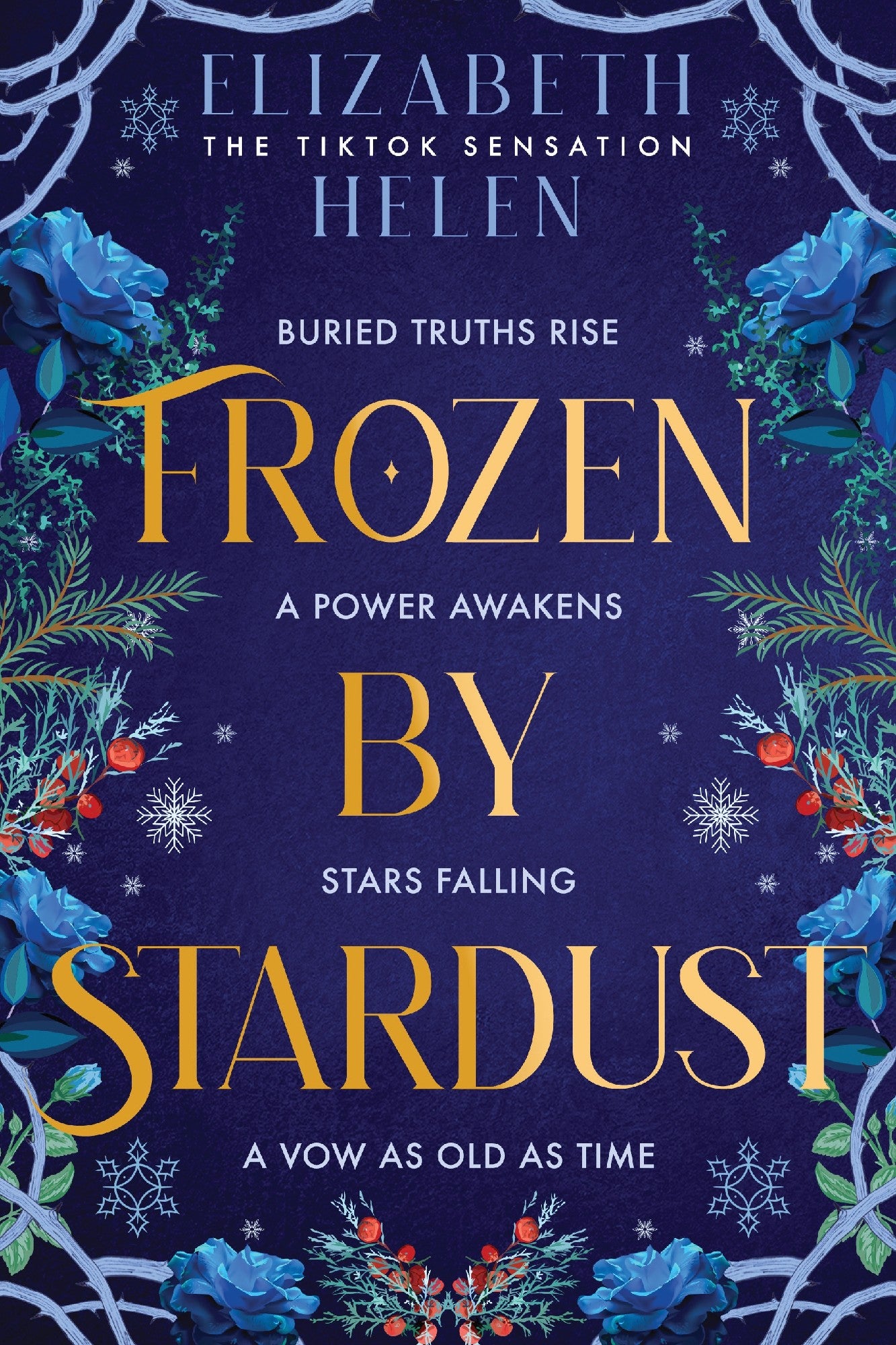 Frozen By Stardust