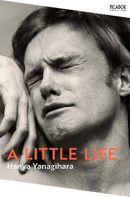 A Little Life: Nov 24