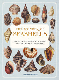 Thumbnail for The Wonder Of Seashells