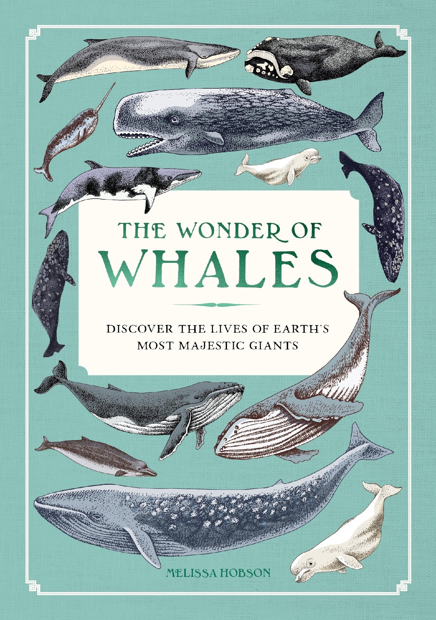 The Wonder Of Whales