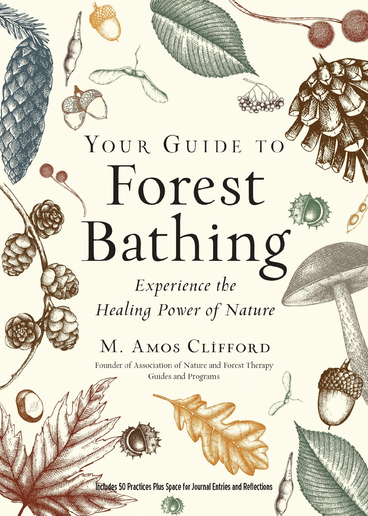 Your Guide To Forest Bathing (expanded Edition)