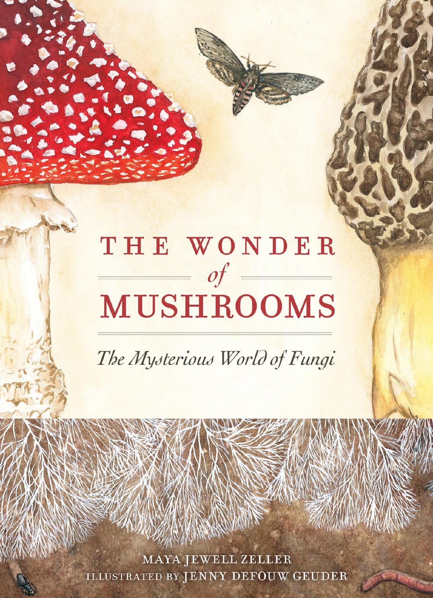 The Wonder Of Mushrooms