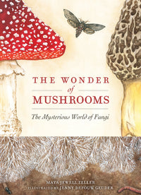 Thumbnail for The Wonder Of Mushrooms