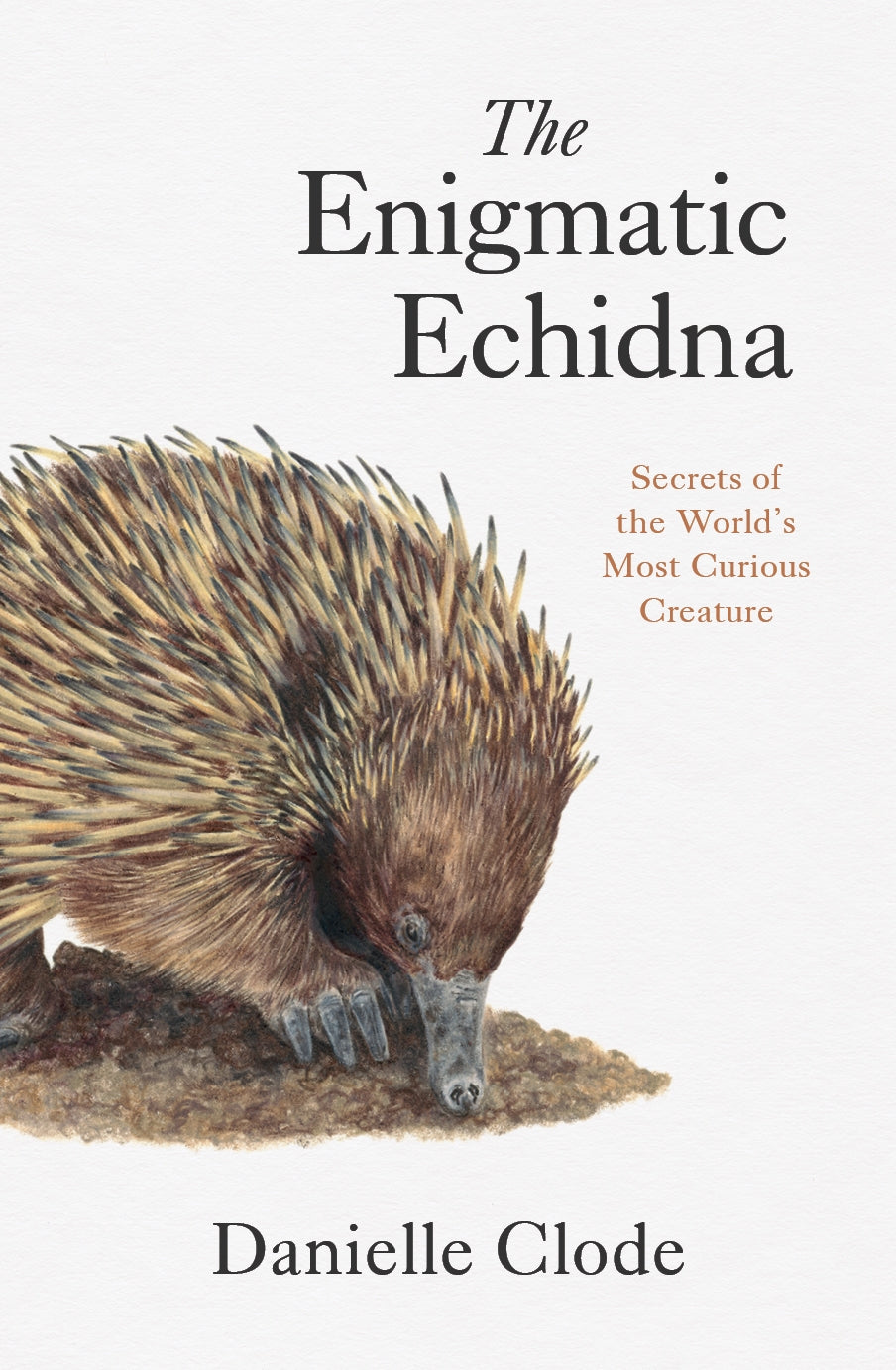 The Enigmatic Echidna