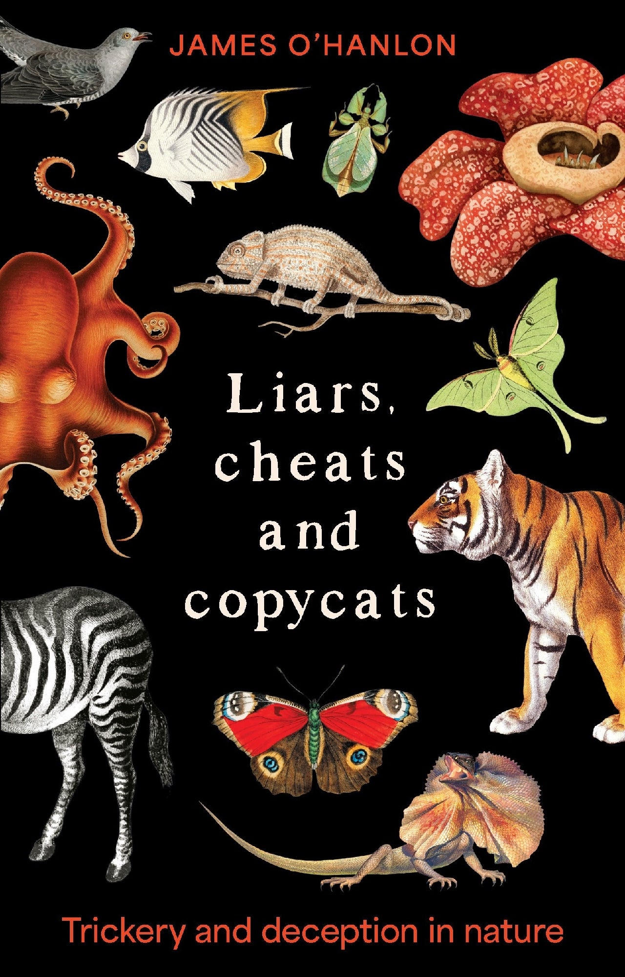 Liars, Cheats And Copycats