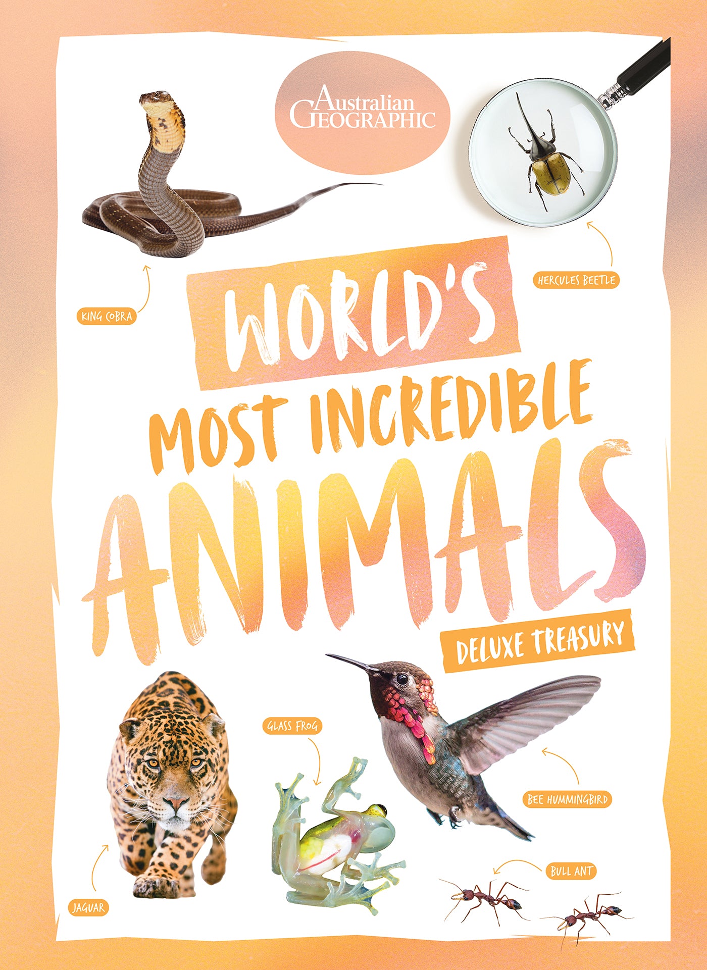 Worldâ??s Most Incredible Animals