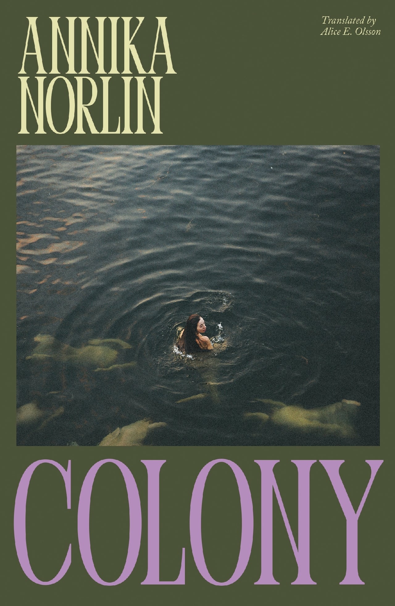 Colony