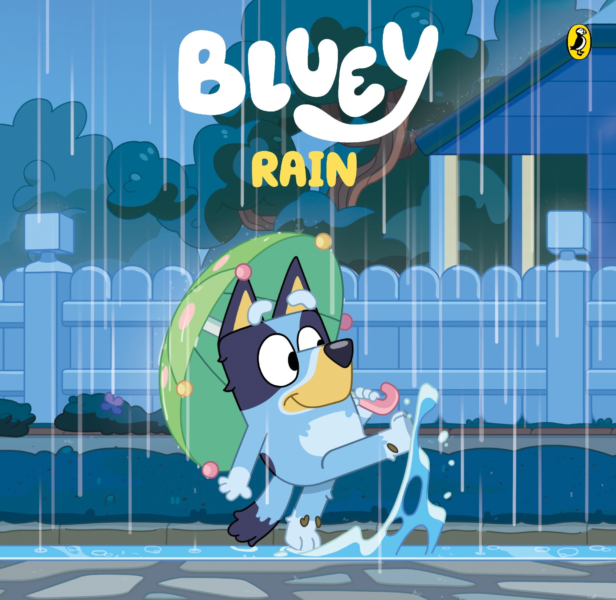 Bluey: Rain