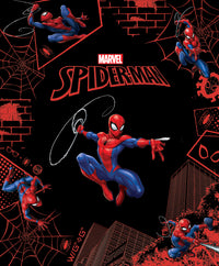 Thumbnail for Spider-man (marvel: Legends Collection)