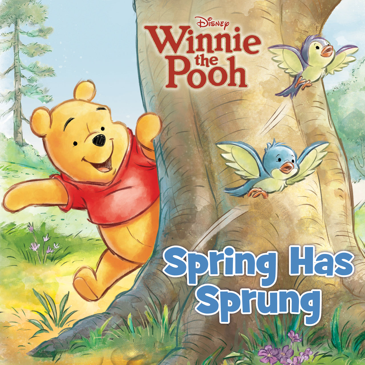 Winnie The Pooh: Spring Has Sprung (disney)