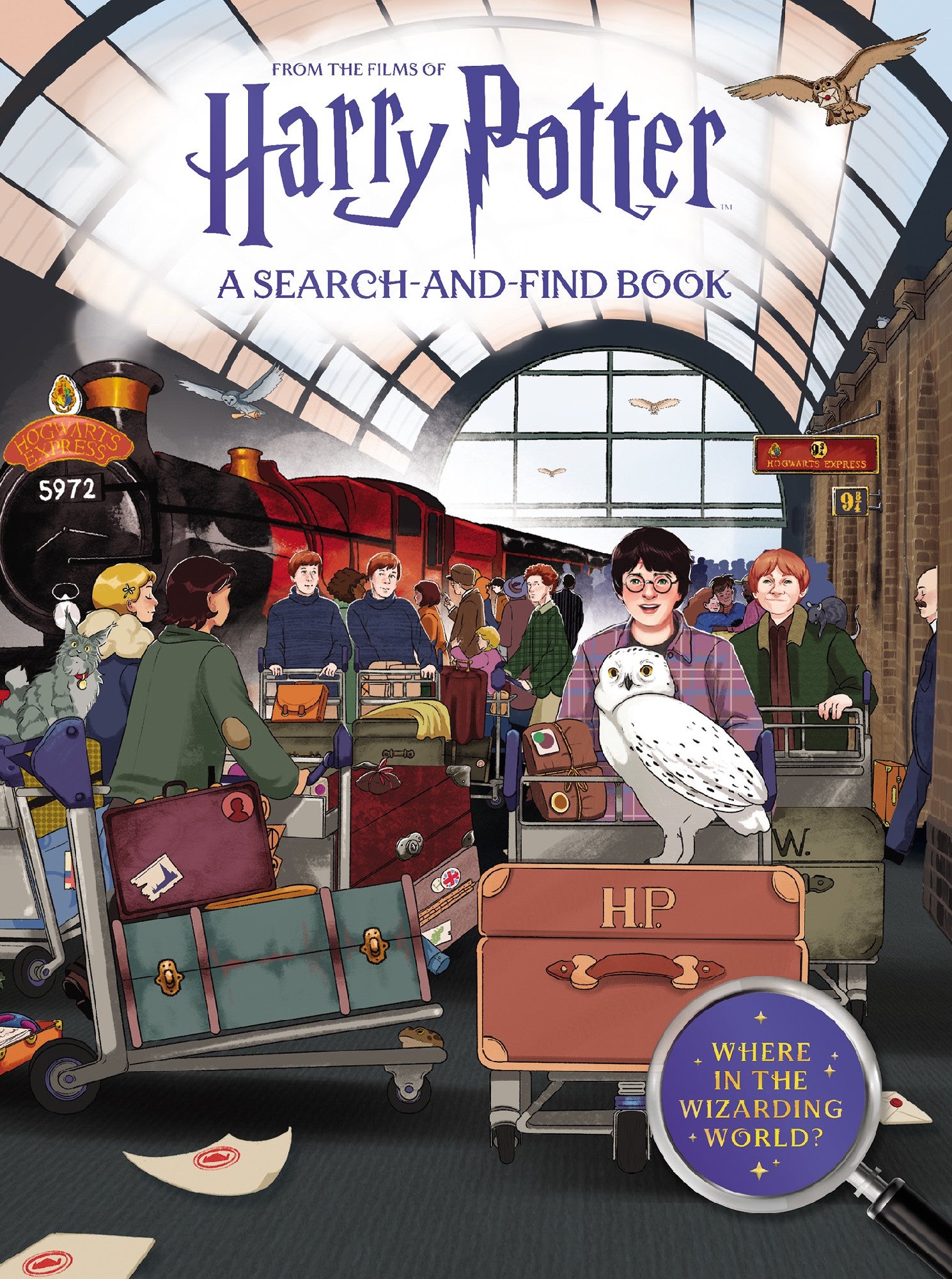 Harry Potter: A Search And Find Book